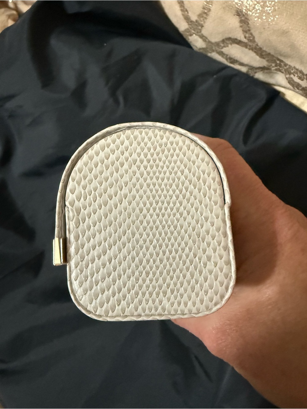 Jimmy Choo Sunglasses Case with Gold Logo Bar - Picture 5 of 6
